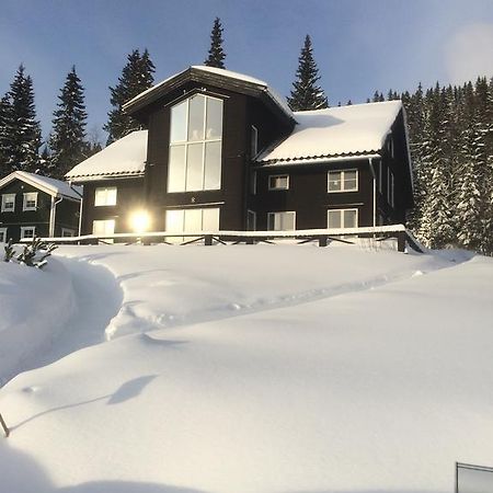 Villa Edvinsvaeg 8 아레 외부 사진
